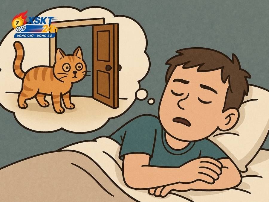 Mơ thấy mèo lạ vào nhà là điềm báo thị phi hoặc khách quý ghé thăm
