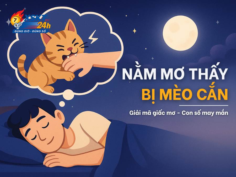 Nằm mơ bị mèo cắn: Giải mã giấc mơ - Con số may mắn