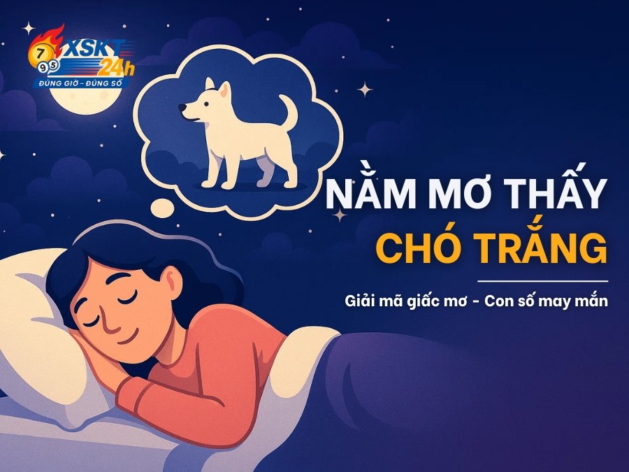 Nằm mơ thấy chó trắng điềm dữ hay lành?