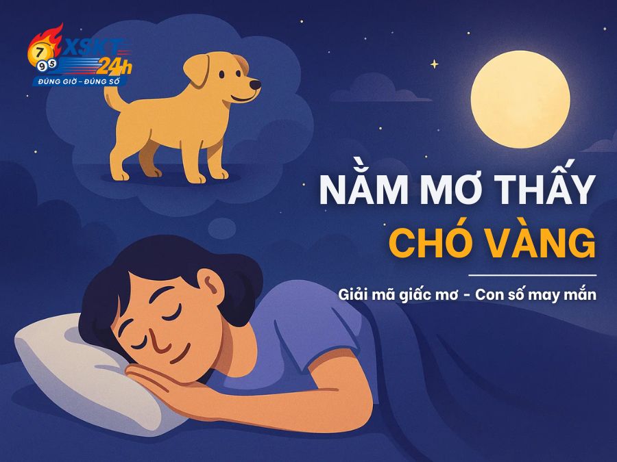 Nằm mơ thấy chó vàng điềm lành hay dữ? Con số may mắn