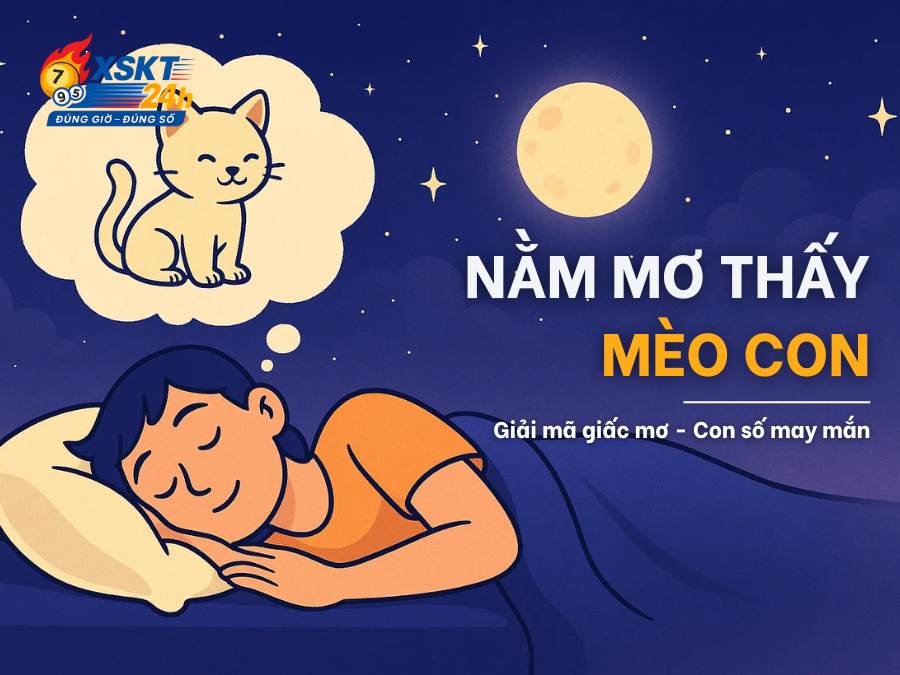 Mơ thấy mèo con: Giải mã giấc mơ cón số may mắn