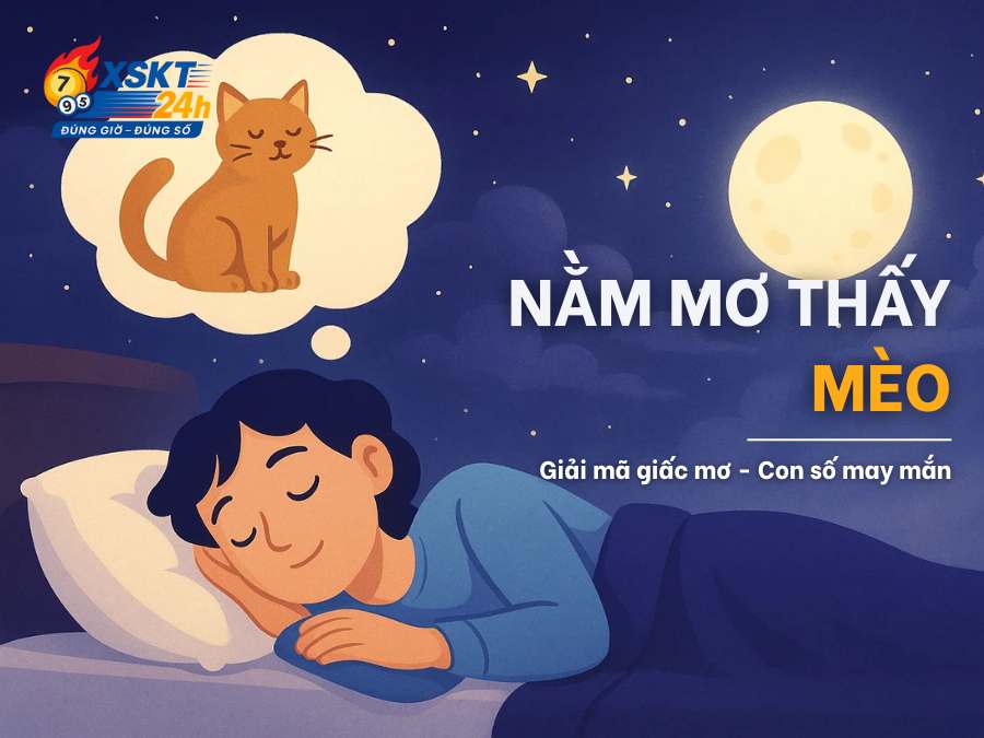 nằm mơ thấy mèo điềm gì? Giải mã giấc mơ - con số may mắn