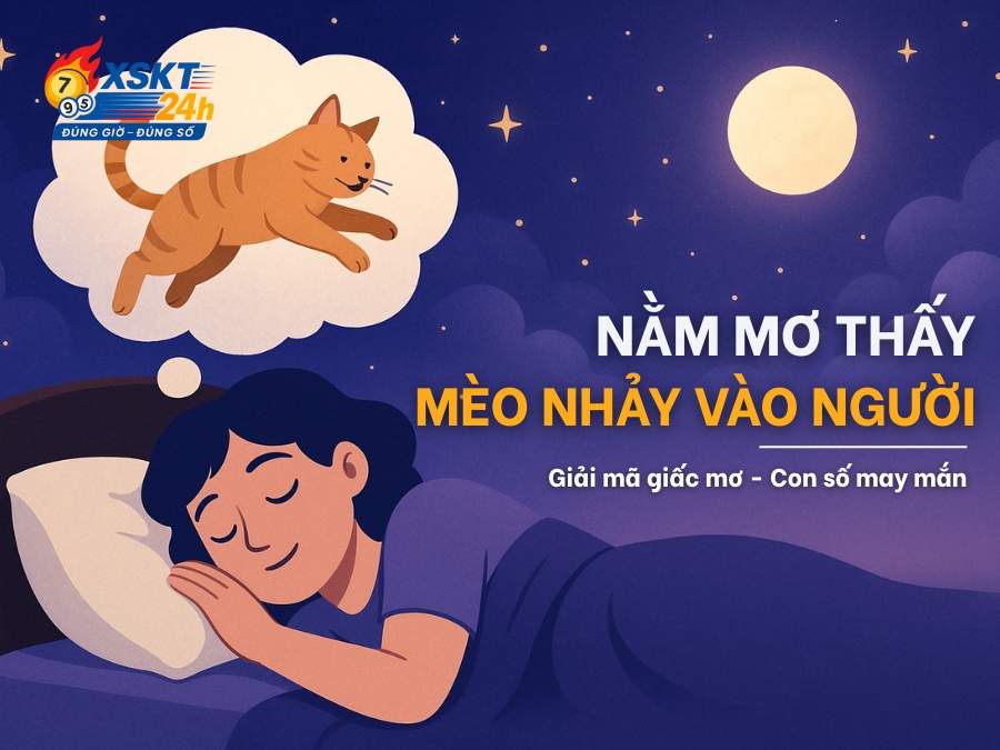 Nằm mơ thấy mèo nhảy vào người, giải mã giấc mơ, con số may mắn