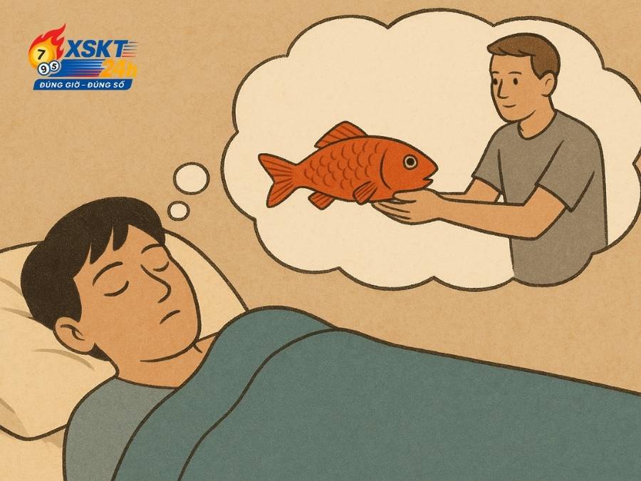 Mơ nhìn thấy người lạ cho cá chép – Cơ hội mới đang đến gần